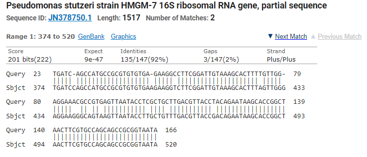 Pseudomonas stutzeri strain HMGM-7 16S ribosomal RNA gene, partial sequence