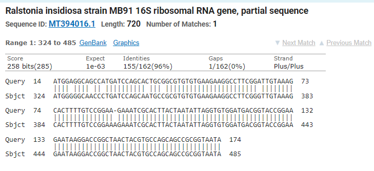 Ralstonia insidiosa strain MB91 16S ribosomal RNA gene, partial sequence