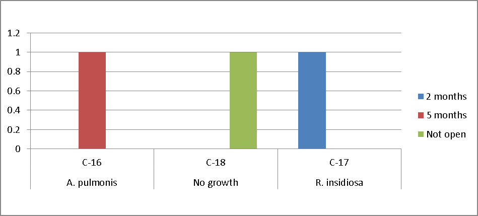 Bacterial growth on preservation solution