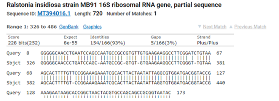 Ralstonia insidiosa strain MB91 16S ribosomal RNA gene, partial sequence