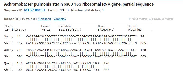 Achromobacter pulmonis strain ss09 16S ribosomal RNA gene, partial sequence