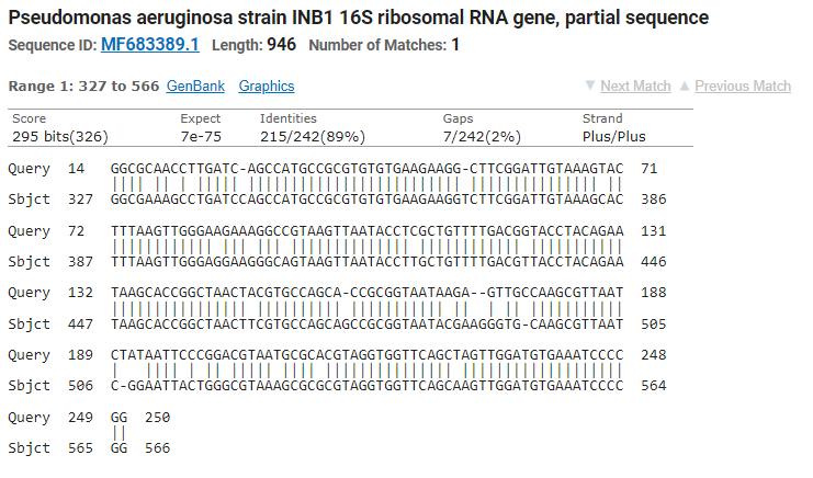 Pseudomonas aeruginosa strain INB1 16S ribosomal RNA gene, partial sequence