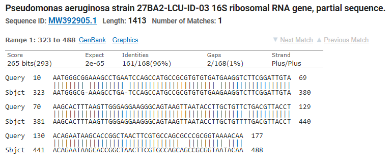 Pseudomonas aeruginosa strain 27BA2-LCU-ID-03 16S ribosomal RNA gene, partial sequence