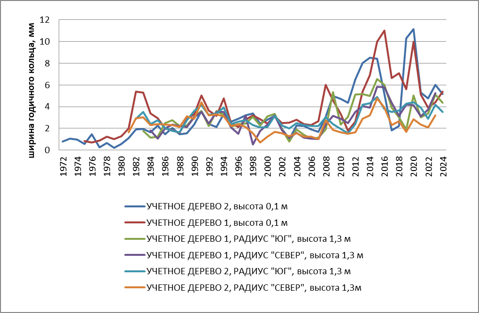 Динамика ширины годичного кольца у учетных деревьев на разных высотах ствола и по разным радиусам ствола