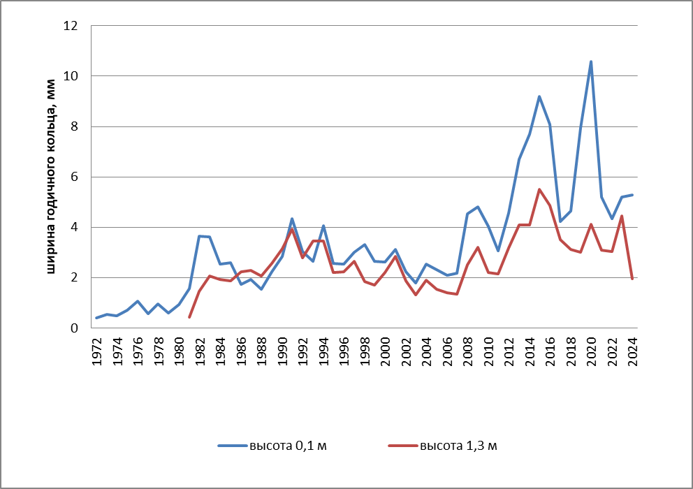 Динамика средней ширины годичного кольца (радиального прироста) на двух высотах ствола