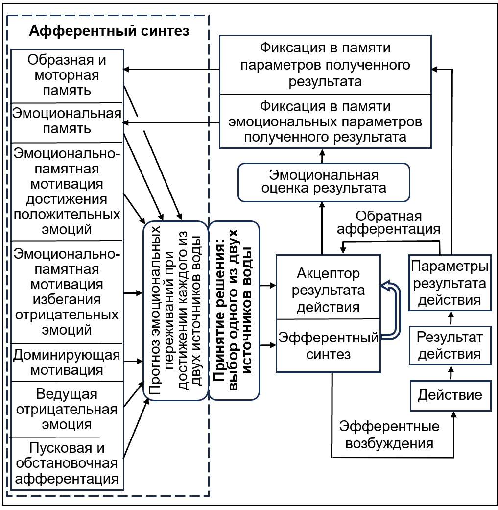 Модифицированная модель функциональной системы целенаправленного поведения в ситуации последовательного выбора