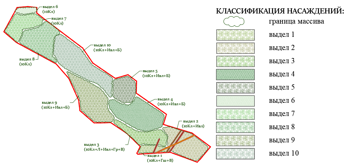 Анализ существующих насаждений